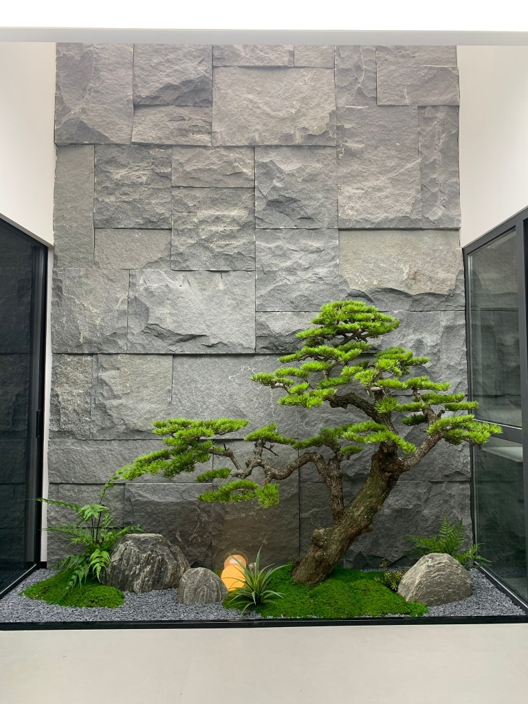 Bonsai and Stone Wall Background